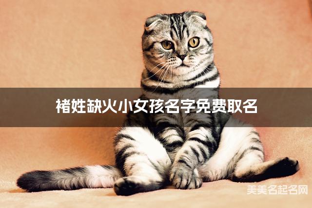 褚姓缺火小女孩名字免费取名 有创意的宝宝名字大全