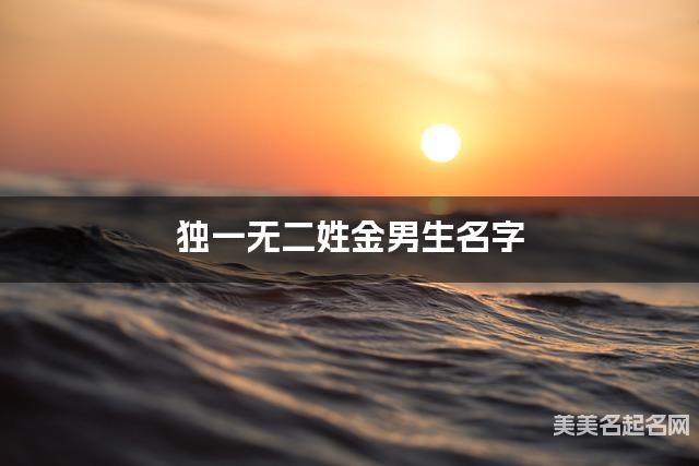 独一无二姓金男生名字
