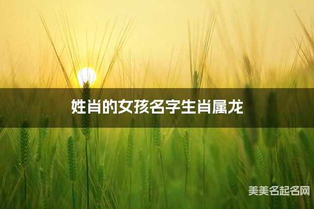 姓肖的女孩名字生肖属龙 有灵气的宝宝名字大全