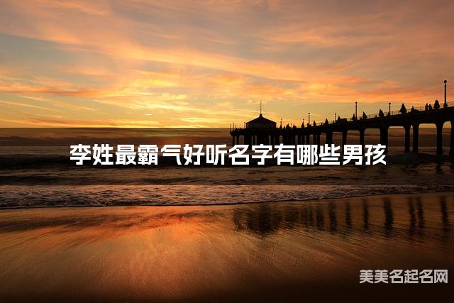 李姓最霸气好听名字有哪些男孩