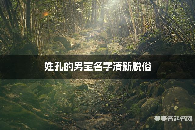 姓孔的男宝名字清新脱俗