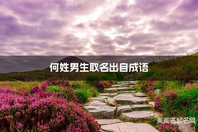 何姓男生取名出自成语