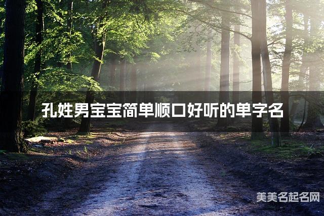 孔姓男宝宝简单顺口好听的单字名 有创意的宝宝单字名大全 孔姓男宝宝简单顺口好听的单字名 有创意的宝宝单字名大全