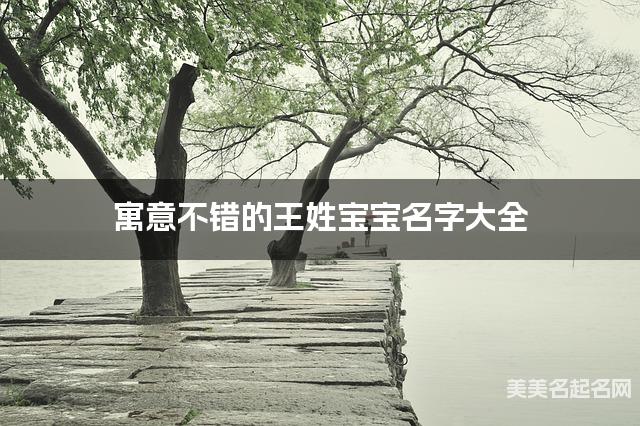 寓意不错的王姓宝宝名字大全