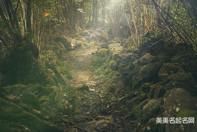 宝宝起名：2024龙宝宝最响亮大气的男宝名字推荐