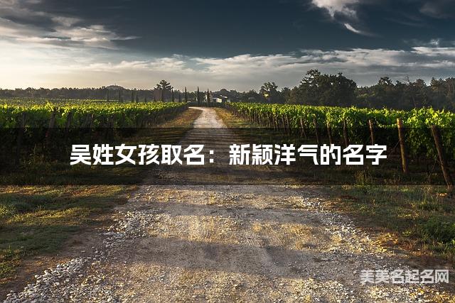 吴姓女孩取名：新颖洋气的名字