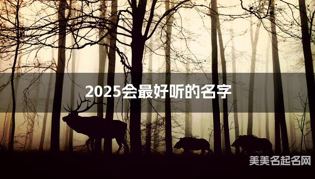 2025会最好听的名字（施姓女宝）