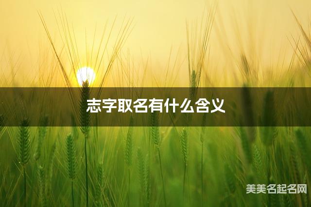 志字取名有什么含义，用来男孩取名字