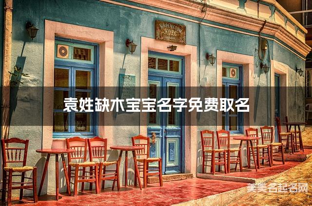 袁姓缺木宝宝名字免费取名 有诗意的宝宝名字大全