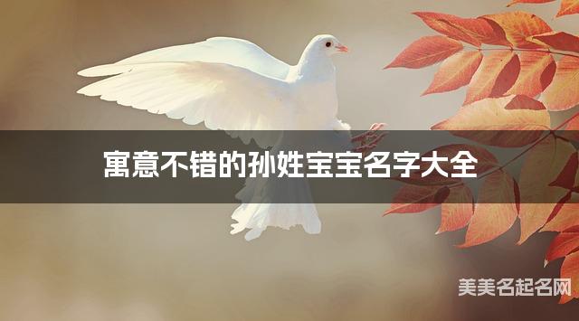 寓意不错的孙姓宝宝名字大全