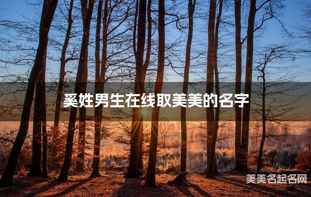 奚姓男生在线取美美的名字 奚姓男生在线取美美的名字