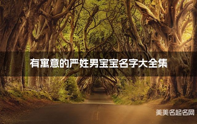 有寓意的严姓男宝宝名字大全集