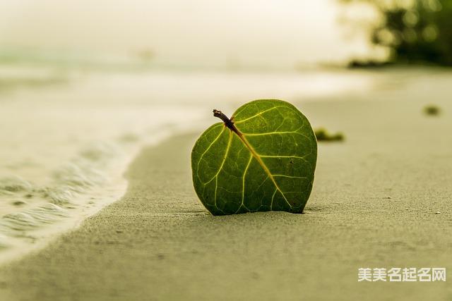 五行金和五行土搭配的男宝宝名字大全