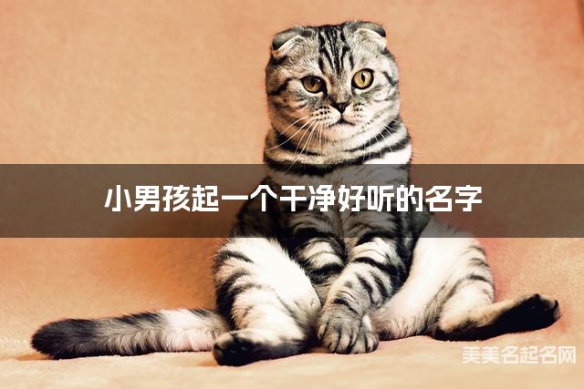 小男孩起一个干净好听的名字 小男孩起一个干净好听的名字