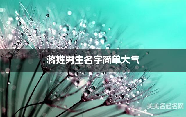 蒋姓男生名字简单大气 蒋姓男生名字简单大气