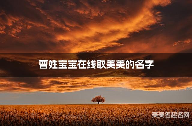 曹姓宝宝在线取美美的名字