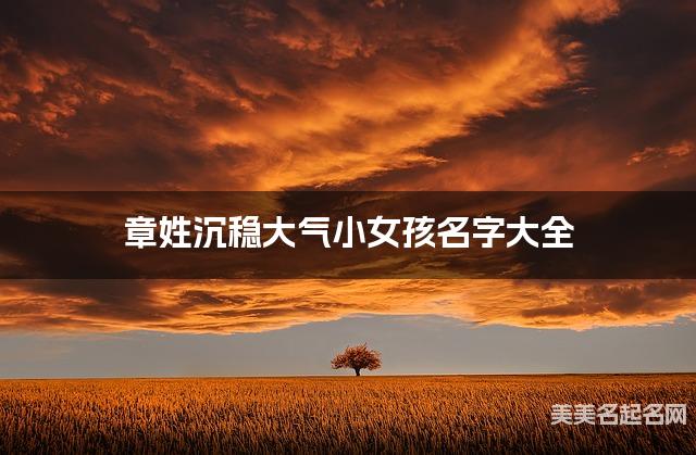 章姓沉稳大气小女孩名字大全