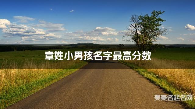 章姓小男孩名字最高分数