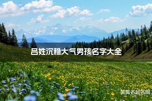 吕姓沉稳大气男孩名字大全