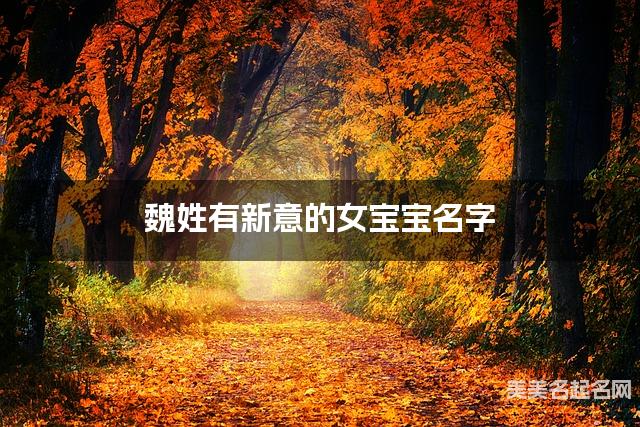 魏姓有新意的女宝宝名字