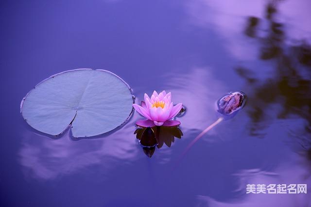 姓沈两个字独特好听的宝宝名字鉴赏 姓沈两个字独特好听的宝宝名字鉴赏