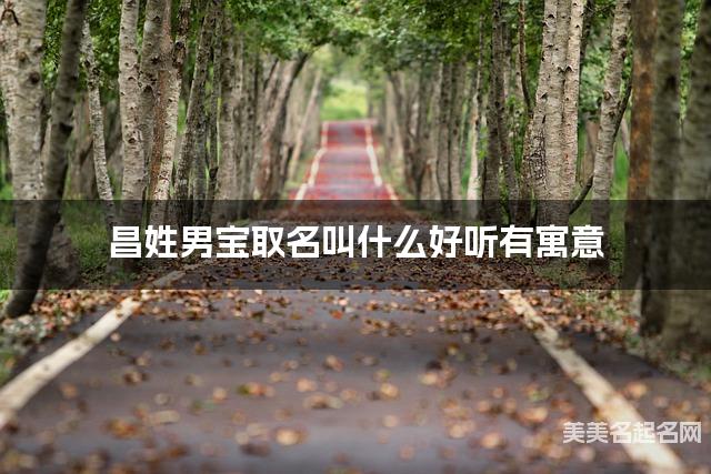 昌姓男宝取名叫什么好听有寓意