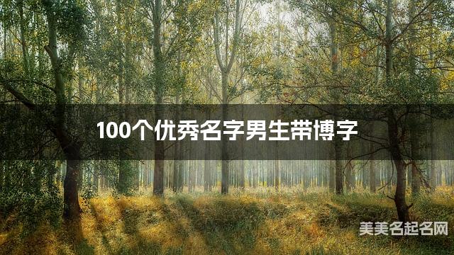 100个优秀名字男生带博字