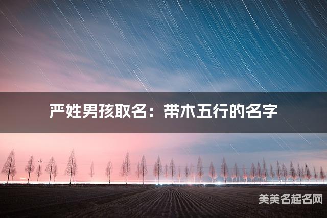 严姓男孩取名：带木五行的名字（有诗意）