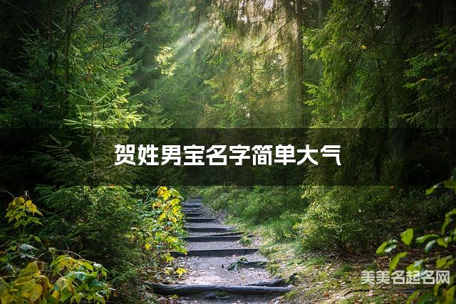 贺姓男宝名字简单大气