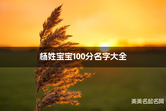 杨姓宝宝100分名字大全