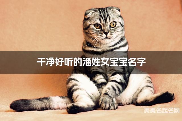 干净好听的潘姓女宝宝名字