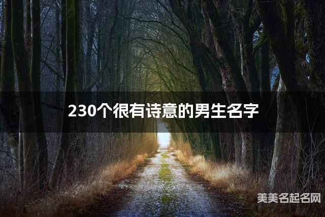 230个很有诗意的男生名字