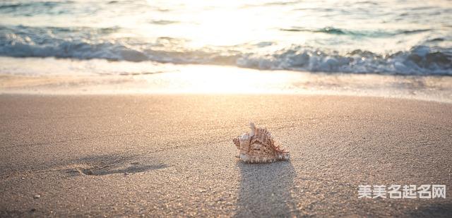 用诗句给郑姓女宝起个古风意境唯美的名字