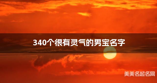 340个很有灵气的男宝名字