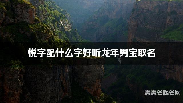 悦字配什么字好听龙年男宝取名