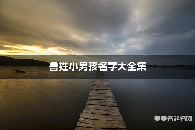 鲁姓小男孩名字大全集（简单顺口300个）