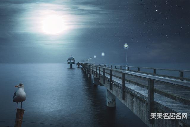 2024龙宝宝中间带莫字的名字大全