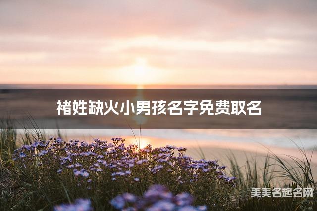 褚姓缺火小男孩名字免费取名 有创意的宝宝名字大全 褚姓缺火小男孩名字免费取名 有创意的宝宝名字大全