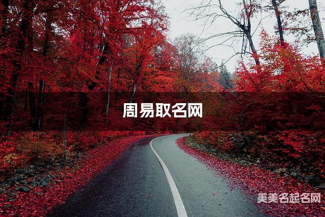 周易取名网 女宝宝可以取什么稀有好听的名字