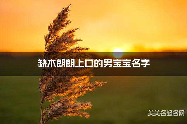 缺木朗朗上口的男宝宝名字 有寓意的宝宝名字大全 缺木朗朗上口的男宝宝名字 有寓意的宝宝名字大全