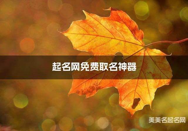 起名网免费取名神器 孙姓冷门独特稀少的小男孩名字
