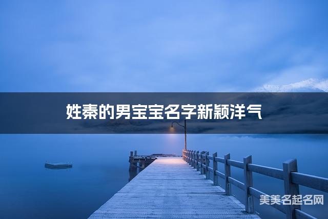 姓秦的男宝宝名字新颖洋气