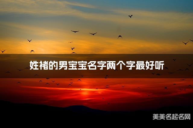 姓褚的男宝宝名字两个字最好听