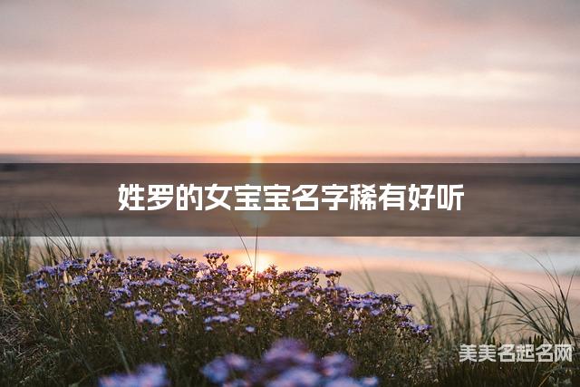 姓罗的女宝宝名字稀有好听