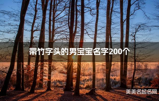 起名取名平台 带竹字头的男宝宝名字200个