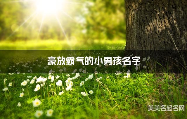 豪放霸气的小男孩名字（有灵气430个）