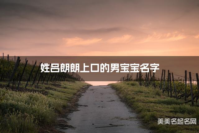 姓吕朗朗上口的男宝宝名字