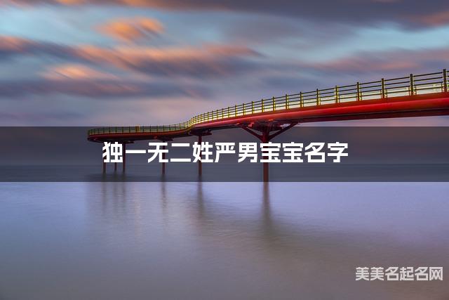 起名取名助手 独一无二姓严男宝宝名字