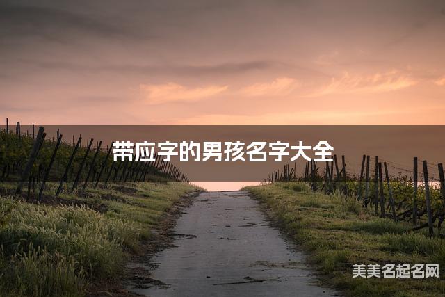 带应字的男孩名字大全 带应字的男孩名字大全