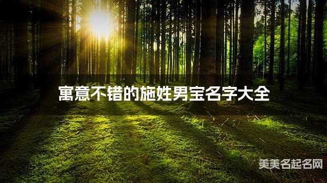 寓意不错的施姓男宝名字大全 寓意不错的施姓男宝名字大全
